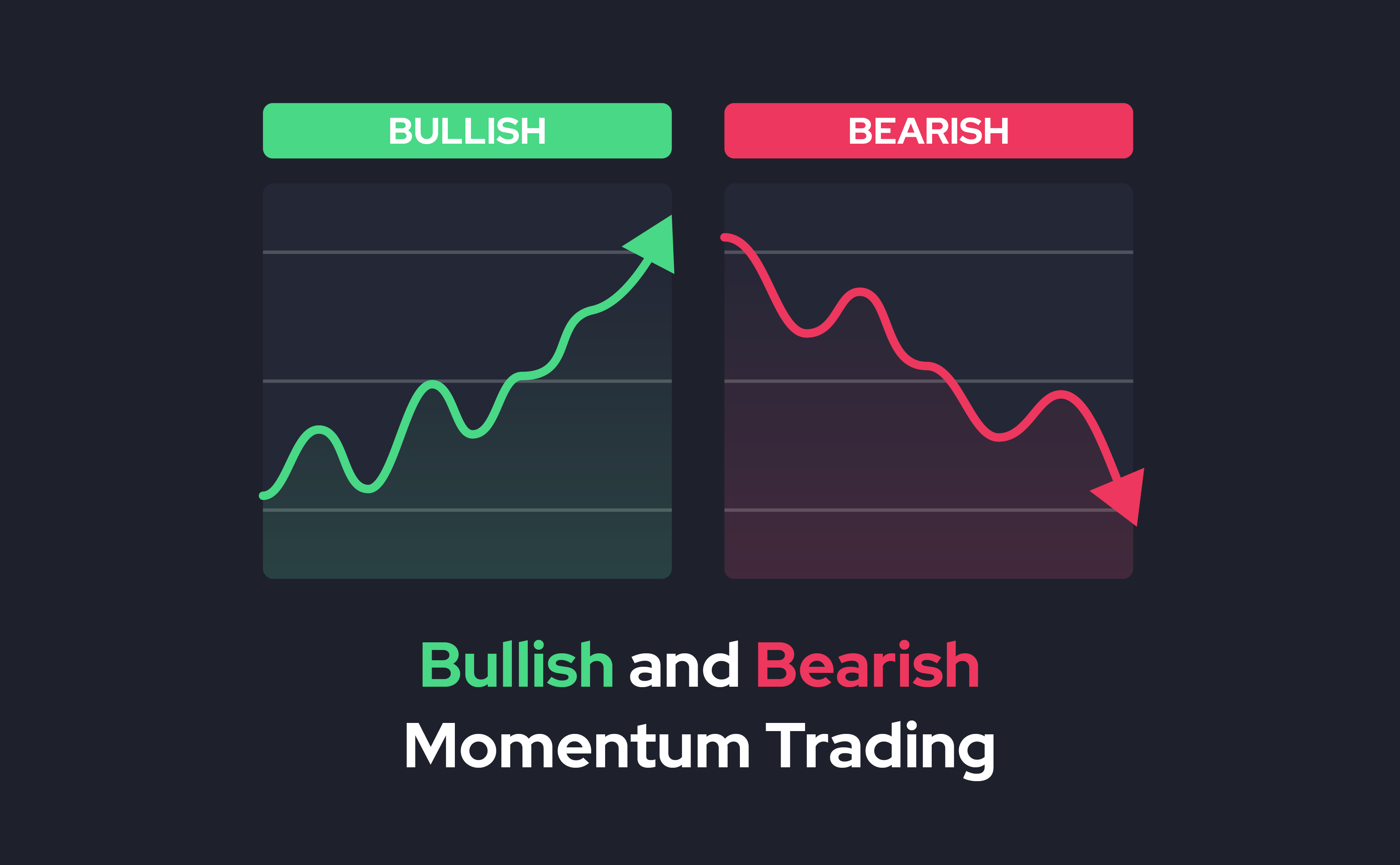 Momentum Bullish et Bearish | SpectroCoin Blog